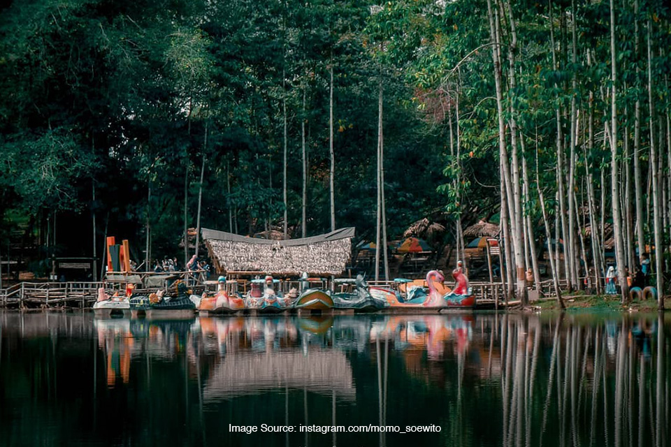 Kubangkangkung Park: Surga Alam di Tengah Hutan Jati Cilacap